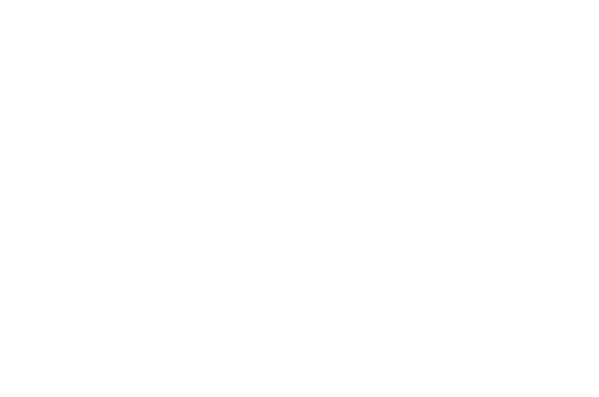 ECOFERR & COMPANY S.N.C.